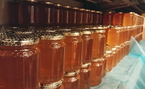 Mon miel d'apiculteur ...