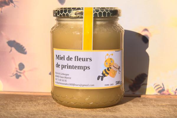 Miel de fleurs de printemps