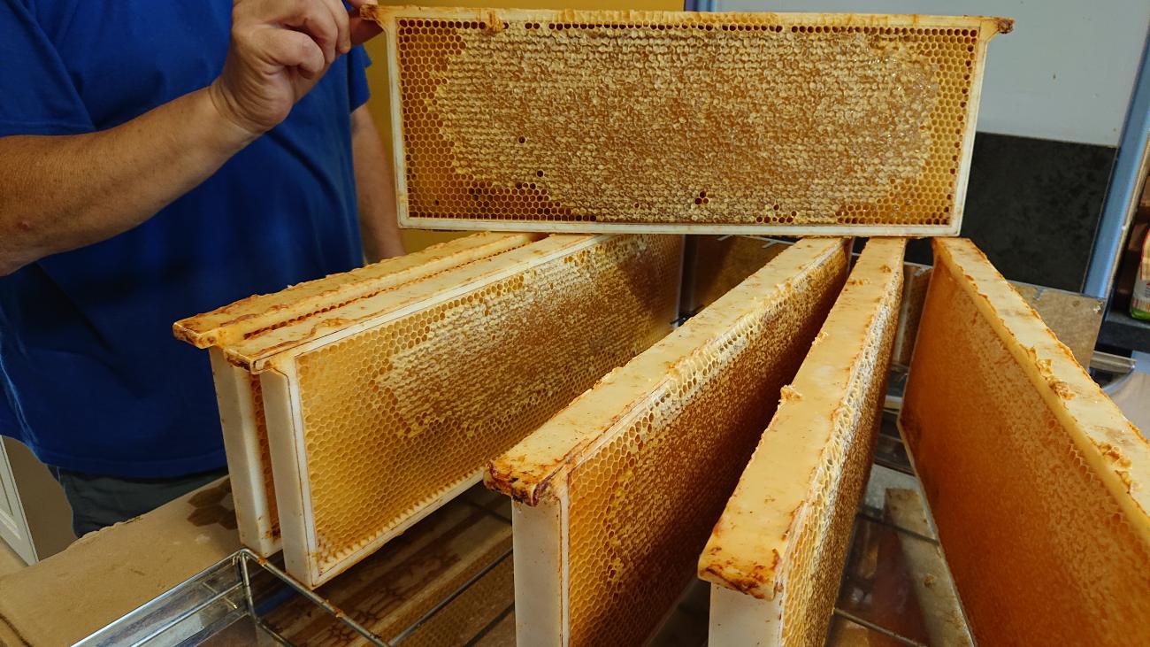 Cadre de miel operculé